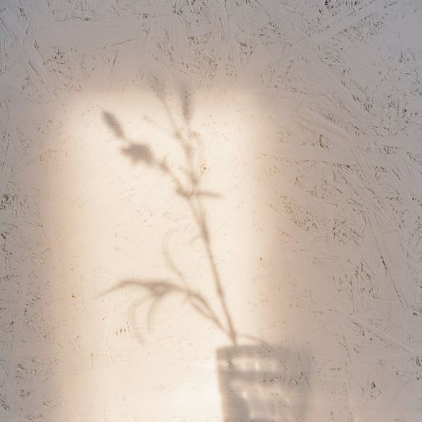 Person feeling refreshed and calm after a light cardio session.